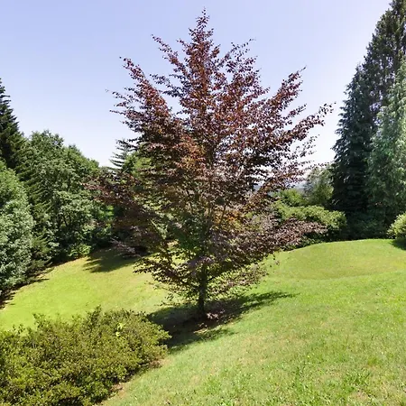 Villa Nelma By Casa Da Gignese