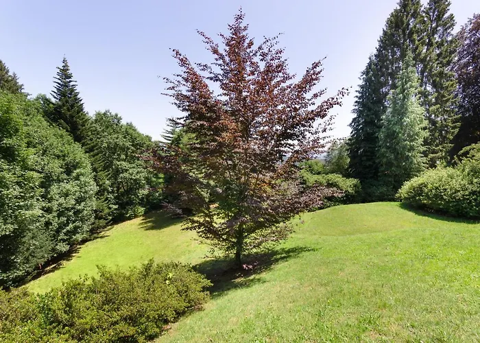 Villa Nelma By Casa Da Gignese